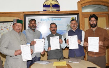 किसानों से हिमाचल सरकार खरीदेगी प्राकृतिक हल्दी , मुख्यमंत्री ने जारी किया हल्दी खरीद के लिए पंजीकरण प्रपत्र