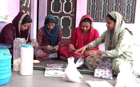 सफलता की कहानी : प्राकृतिक खेती में बड़ेई की महिलाओं की बड़ी कमाई,60 कनाल भूमि पर कर रही प्राकृतिक खेती