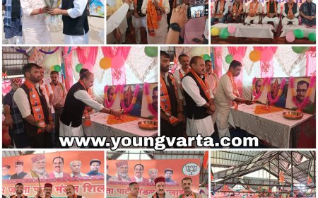 राष्ट्रवाद , संगठन और कार्यकर्ता आधारित राजनीति की प्रेरणास्रोत पार्टी है भाजपा : बलदेव तोमर