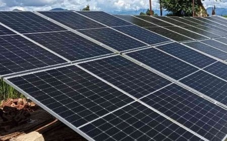 हिमाचल प्रदेश में 31 मार्च तक सोलर प्रोजेक्ट्स के लिए 4533 लोगों ने सबसिडी का लाभ उठाने के लिए किया आवेदन