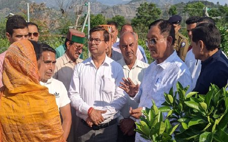 बागवानी मंत्री नेनाचन विधानसभा क्षेत्र में एचपी शिवा परियोजना के क्लस्टरों का किया निरीक्षण