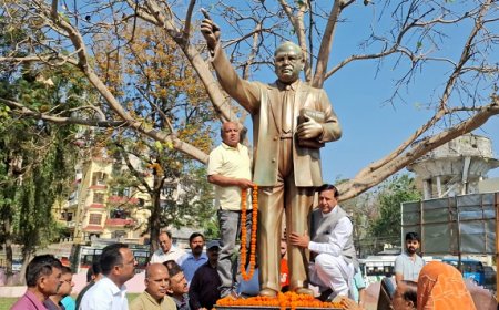 कांग्रेस पार्टी और उनके नेता ही थे जिन्होंने सैकड़ो बार किया अंबेडकर जी का अपमान : डॉ  बिंदल