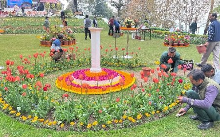 राष्ट्रपति के शिमला दौरे से पहले राष्ट्रपति भवन में 60 से अधिक किस्मों के फूलों से महक रहा भवन परिसर