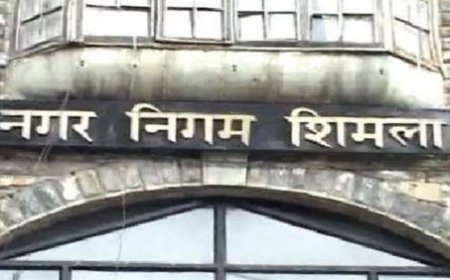 कैथू वार्ड में खुद कॉरपोरेशन बना रही अवैध ढारे, आम लोगों को करना पड़ रहा समस्याओं का सामना