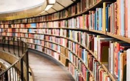 हिमाचल प्रदेश के सरकारी स्कूलों में स्थापित होंगे जीवंत पुस्तकालय , बेहतर लाइब्रेरी को किया जाएगा पुरस्कृत , मिलेगी स्पेशल ग्रांट