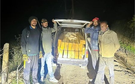 देवदार के 16 स्लीपरों से लदी वैन पकड़ी , चालक मौके पर फरार , जांच में जुटी वन विभाग की टीम 