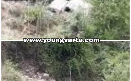 डोडरा क्वार में अनियंत्रित होकर सडक़ से नीचे जा गिरी बोलेरो , एक की मौत , 25 लोग घायल