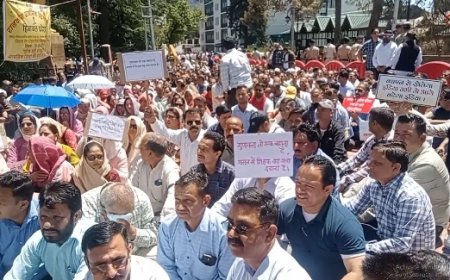 प्रारंभिक और उच्च शिक्षा का एक निदेशालय बनाने के विरोध में सैकड़ों प्राथमिक शिक्षकों ने सरकार के खिलाफ धरना प्रदर्शन