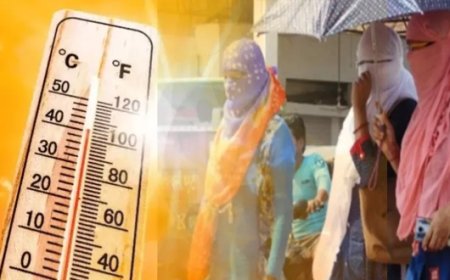 प्रदेश के मैदानों में भीषण गर्मी के चलते अगले तीन दिनों तक लू चलने का अलर्ट जारी 