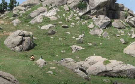 चूड़धार में रास्ता भटके युवक-युवती को पुलिस ने सुरक्षित किया रेस्क्यू  