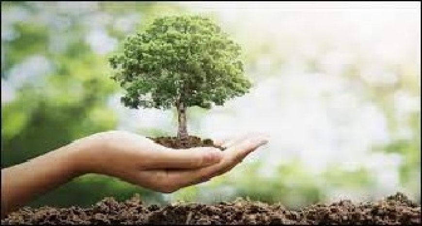 प्रदेश सरकार ने राज्य को 2027 तक हरित राज्य बनाने का रखा लक्ष्य, युवाओं को भी मिलेगा रोजगार
