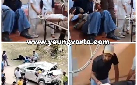 कुल्लू में अनियंत्रित होकर सड़क से नीचे लुढ़क गई पर्यटकों की गाड़ी , चालक सहित छह घायल