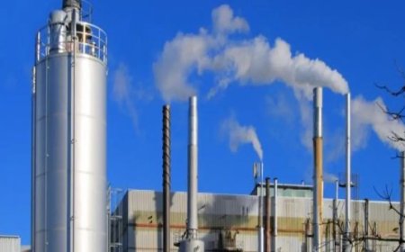 हिमाचल प्रदेश में लगेंगे 40 और नए उद्योग, उद्योग स्थापित होने से करीब डेढ़ हजार लोगों को मिलेगा रोजगार