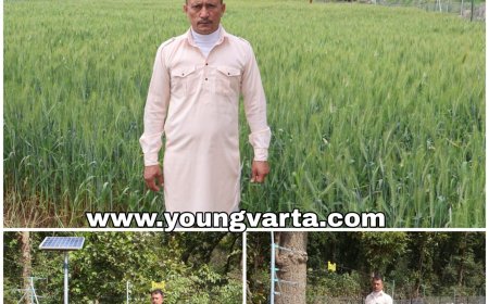 मुख्यमंत्री खेत संरक्षण योजना ने किसानों की फसलों का संरक्षण किया सुनिश्चित , पांवटा के भूपेंद्र सिंह को मिला 12. 34 लाख का अनुदान 