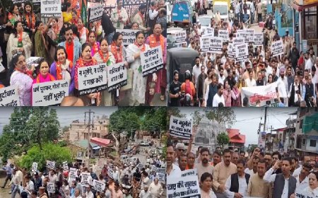 पहलगाम आतंकी घटना के खिलाफ शिमला में भाजपा का प्रदर्शन, पाकिस्तान के नागरिकों को वापस भेजने की मांग