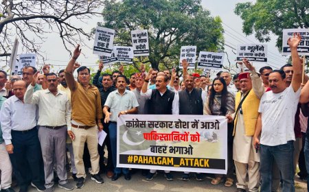 आतंकवाद के खिलाफ नाहन में भाजपा का प्रदर्शन,उपायुक्त के जरिए राज्यपाल और सीएम को भेजा मांग पत्र  