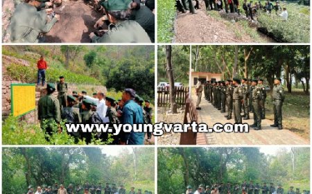 सिरमौर में 203 नव नियुक्त वन मित्रों को किया जा रहा प्रशिक्षित