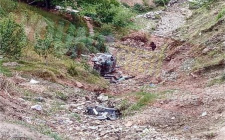 अनियंत्रित होकर दुर्घटनाग्रस्त हुई कार , मंदिर जा रहे मां-बेटे की सड़क हादसे में मौत