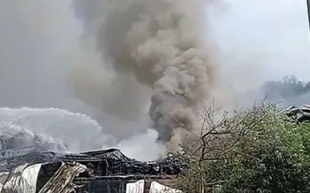 आगजनी की भेंट चढ़ी तारपीन फैक्टरी, चपेट में आने से दो कामगारों की मौत 