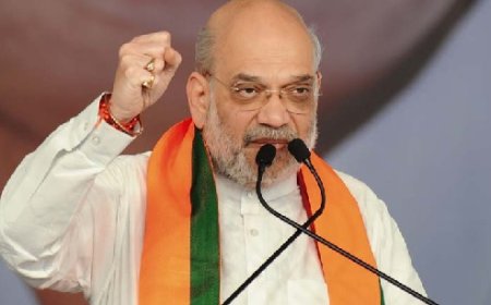 पहलगाम हमले का जवाब,आतंकवाद को जड़ से खत्म करने के लिए भारत दृढ़रूप से प्रतिबद्ध  : अमित शाह 