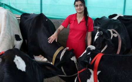 दुग्ध उत्पादन में सकीना डेयरी फार्म बना आदर्श, तुंगल क्षेत्र की युवा उद्यमी के ज़ज्बे ने लिखी सफलता की नई इबारत