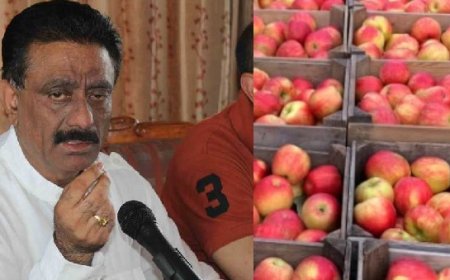 हिमाचल के बागवानों की केंद्र सरकार से मांग,तुर्किये से सेब समेत हर प्रकार के आयात पर लगाया जाए प्रतिबंध  