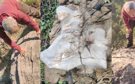 सोलन में मिले 60 करोड़ साल पुराने स्ट्रोमैटोलाइट फॉसिल, भू-वैज्ञानिक डॉ रितेश आर्य ने खोज निकाला जिंदा इतिहास