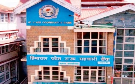 हिमाचल में बड़ी साइबर ठगी :  साइबर ठगों ने राज्य सहकारी बैंक का सर्वर हैक कर  निकाले 11.55 करोड़  