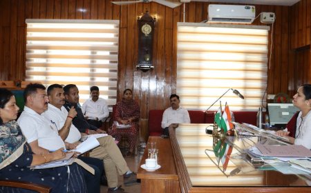 उपायुक्त की अध्यक्षता में हुई जिला सड़क सुरक्षा समिति की बैठक , हादसे रोकने के लिए रात्री समय में नाके व गश्त बढाने के दिए निर्देश