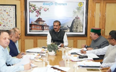 वन निगम ने रायल्टी राजस्व से अर्जित 41.30 करोड़ रुपये का चेक मुख्यमंत्री को किया भेंट 