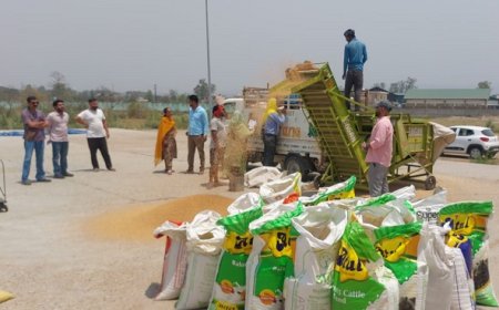 ऊना जिले के रामपुर और टकारला अनाज मंडी में शुरू हुई गेहूं खरीद प्रक्रिया