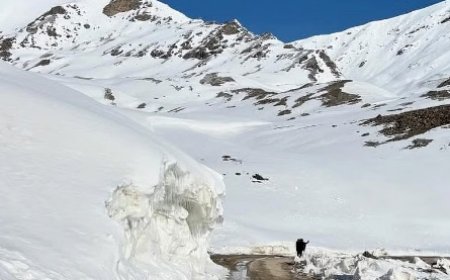 रोहतांग के लिए पर्यटकों की आवाजाही शुरू,पहले दिन लगभग 800 वाहनों में पर्यटक पहुंचे रोहतांग  