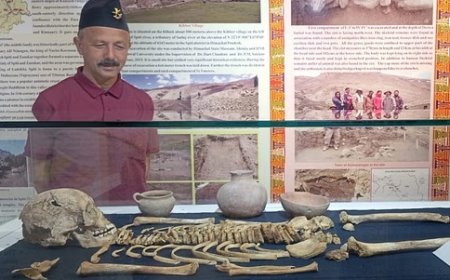 हिमाचल प्रदेश राज्य संग्रहालय शिमला में सबसे अधिक ऊंचाई में मिले शवागार संस्कृति के अवशेष संरक्षित