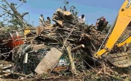 कांगड़ा में तूफान का कहर , ट्रक पर गिरा पेड़ चालक समेत दो लोगों की मौत , कुल्लू में आफत बन कर बरसी बारिश 