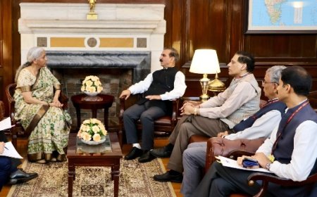 मुख्यमंत्री ने केंद्रीय वित्त मंत्री निर्मला सीतारमण से की भेंट