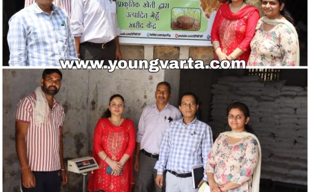 सरकार ने जिला सिरमौर के 42 किसानों से खरीदी 178 क्विंटल प्राकृतिक खेती से उत्पादित गेहूं