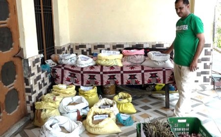 मुख्यमंत्री के सपने को साकार कर रहे हरनेड़ गांव के ललित कालिया