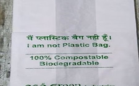 माइक्रोन लिफाफे के इस्तेमाल पर हिमाचल प्रदेश में 1 जून से लगेंगी पाबंदी 