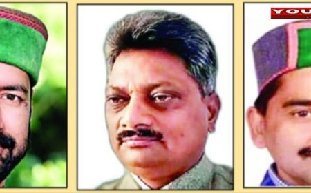 सुक्खू के सिपेहसालार तीन नेताओं का बड़ा कद , कांग्रेस हाई कमान दी बड़ी जिम्मेदारी , बनाया हरियाणा और मध्य प्रदेश में पर्यवेक्षक