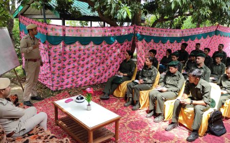 वन संसाधनों के संरक्षण एवं स्थायी प्रबंधन में युवाओं की भागीदारी सुनिश्चित करेगी सरकार की वन मित्र योजना , मंडी में 188 युवतियां बनीं वन मित्र