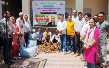 प्राकृतिक हल्दी की खेती से मजबूत हो रही है किसानों की आर्थिकी , 90 रुपए प्रति किलो मिल रहा समर्थन मूल्य