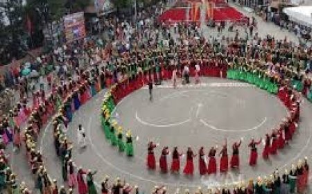 पहली से 05 जून तक होगा शिमला ग्रीष्मोत्सव का आयोजन , पंजाबी, बॉलीवुड और हिमाचली कलाकार जमाएंगे रंग