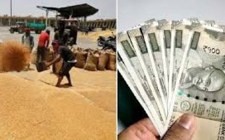 गेहूं की फसल का किसानों को 7.25 करोड़ का भुगतान , सरकार ने 2425 रूपये प्रति  क्विंटल , एमएसपी की दर से ख़रीदा गेहूं  