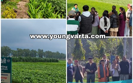 अधिक लाभ के लिए अपनाएं उन्नत कृषि तकनीक , कृषि विश्वविद्यालय के प्रसार शिक्षा निदेशालय ने जारी की एडवायेजरी 