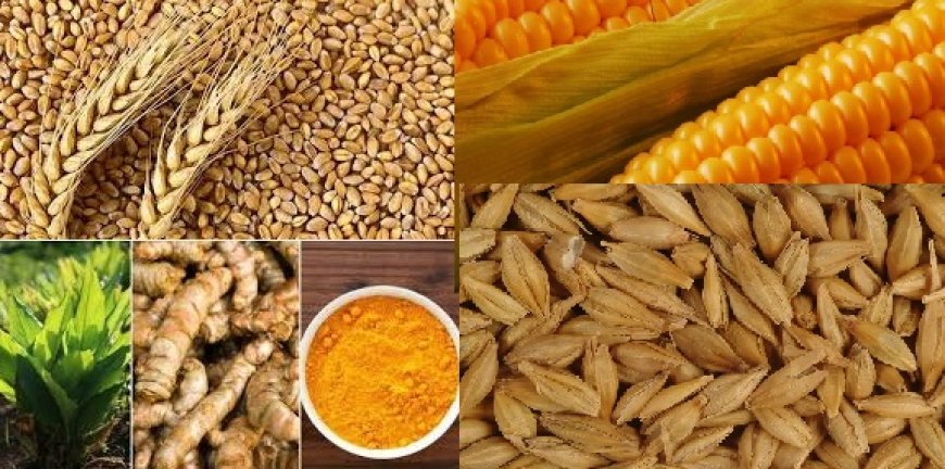 ग्रामीण अर्थव्यवस्था को सुदृढ़ करने के लिए कृषि क्षेत्र पर विशेष बल दे रही प्रदेश सरकार