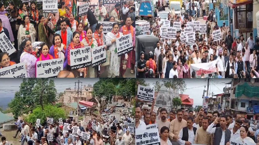 पहलगाम आतंकी घटना के खिलाफ शिमला में भाजपा का प्रदर्शन, पाकिस्तान के नागरिकों को वापस भेजने की मांग