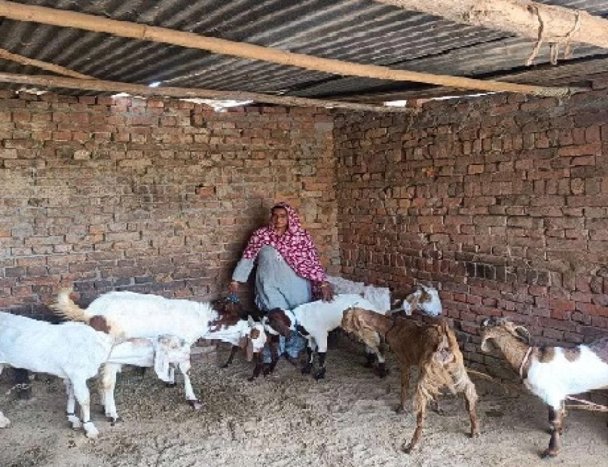 ग्रामीण उद्यमिता की मिसाल बनी हरिद्वार की सबनम, 60 हजार से 70 हजार तक की आय कर रही अर्जित
