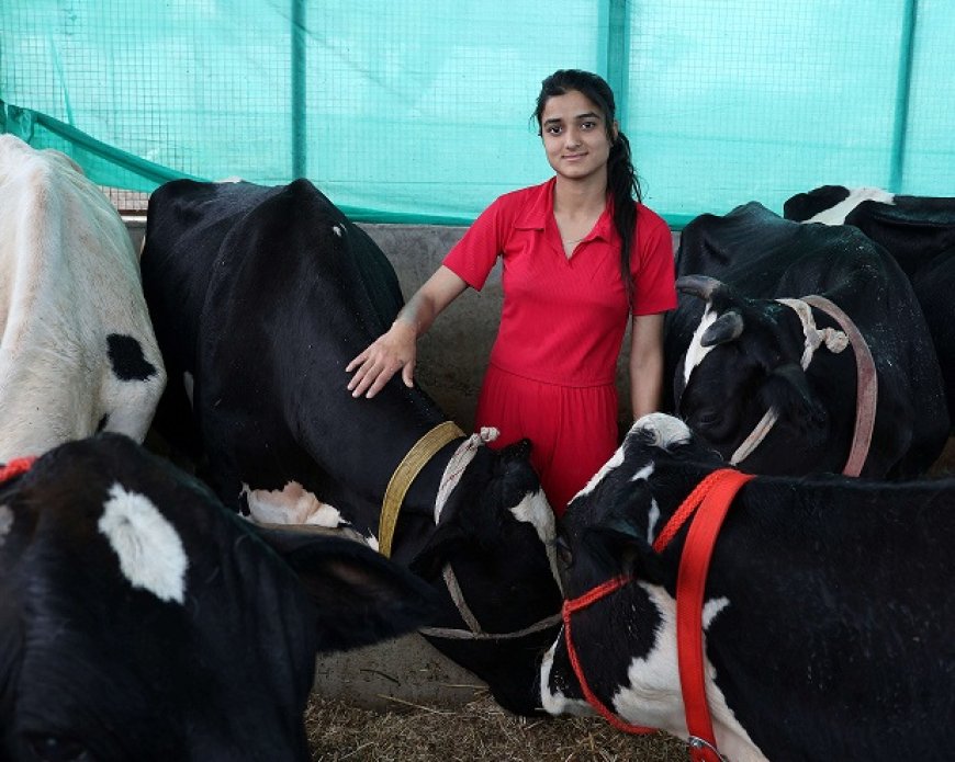 दुग्ध उत्पादन में सकीना डेयरी फार्म बना आदर्श, तुंगल क्षेत्र की युवा उद्यमी के ज़ज्बे ने लिखी सफलता की नई इबारत