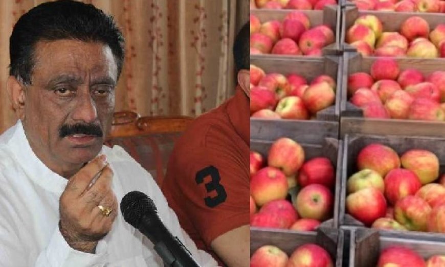 हिमाचल के बागवानों की केंद्र सरकार से मांग,तुर्किये से सेब समेत हर प्रकार के आयात पर लगाया जाए प्रतिबंध