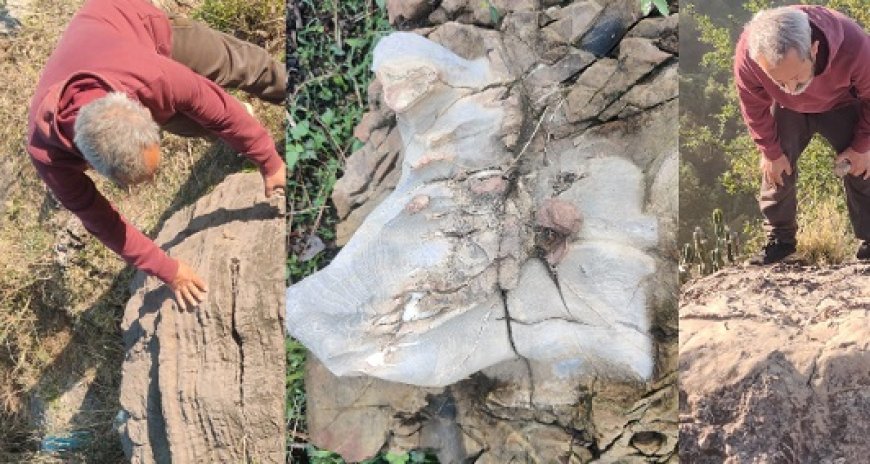 सोलन में मिले 60 करोड़ साल पुराने स्ट्रोमैटोलाइट फॉसिल, भू-वैज्ञानिक डॉ रितेश आर्य ने खोज निकाला जिंदा इतिहास